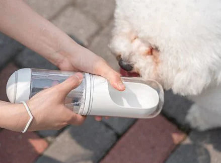 Portable Travel Water Bottle for Pets (Cats & Dogs)